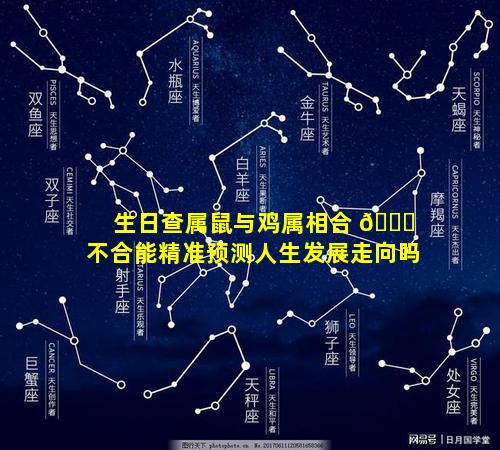 生日查属鼠与鸡属相合 🐛 不合能精准预测人生发展走向吗